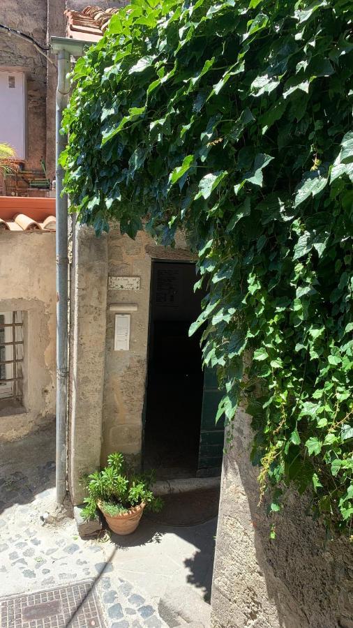 La Casa Sul Lago Anguillara Sabazia Eksteriør bilde