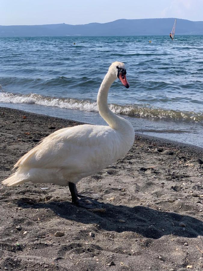 La Casa Sul Lago Anguillara Sabazia Eksteriør bilde